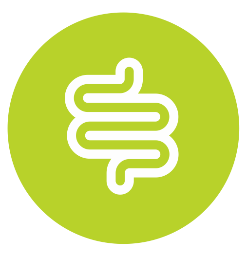 corrige colon y estreñimiento